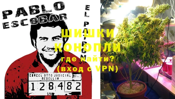 шишки Балабаново