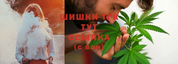 шишки Балабаново