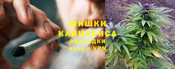 шишки Балабаново