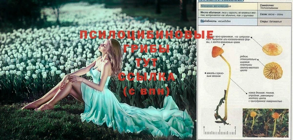шишки Балабаново